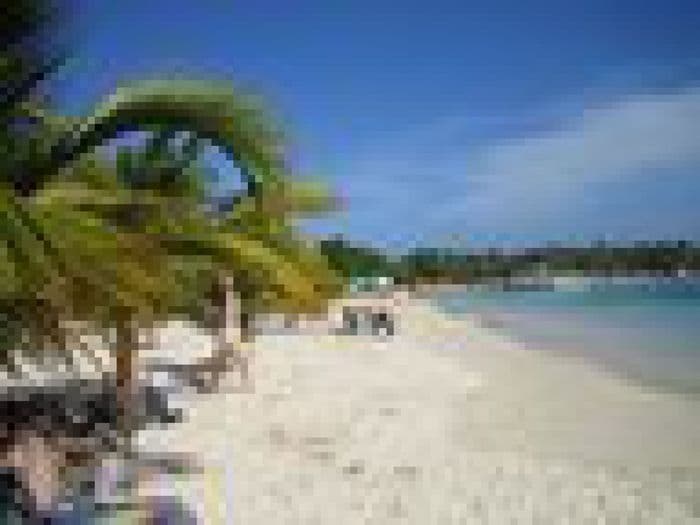 image - f7aa987f-328b-44be-9fa8-77ecee940455