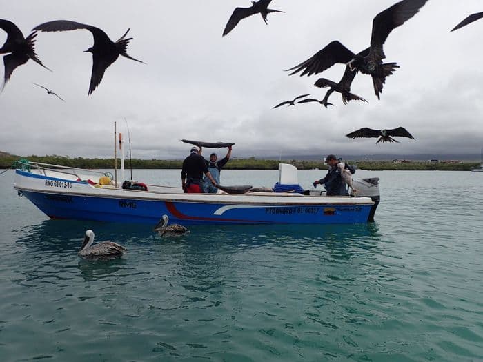 A une prochaine fois l' Amériq