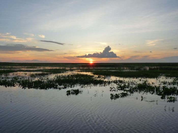 Atardecer en los Llanos