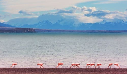 patagonia_BP_viv_09.22-8 (1)