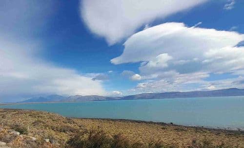 Calafate