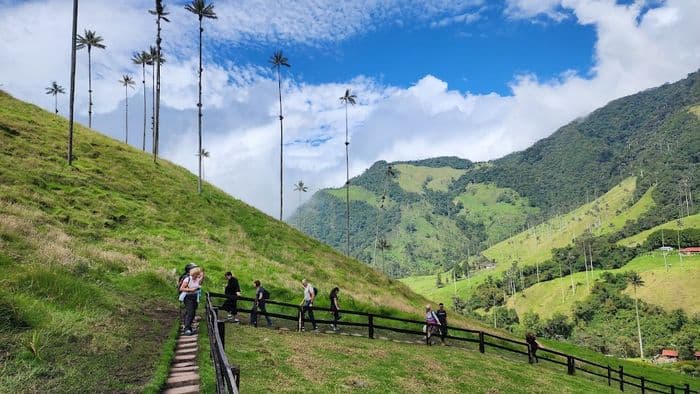 ccol 77871 14/01/2023