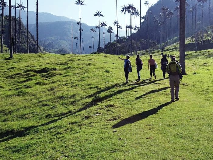 Valle del Cocora group trip