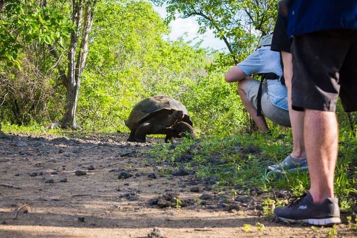Isabela Urbina bay -  samba galapagos cruise - gal0052