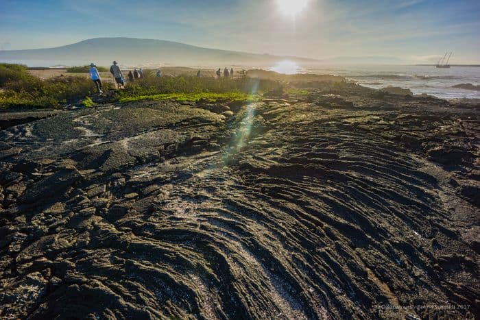 Fernandina - Punta vicente roca- samba galapagos cruise - gal0052