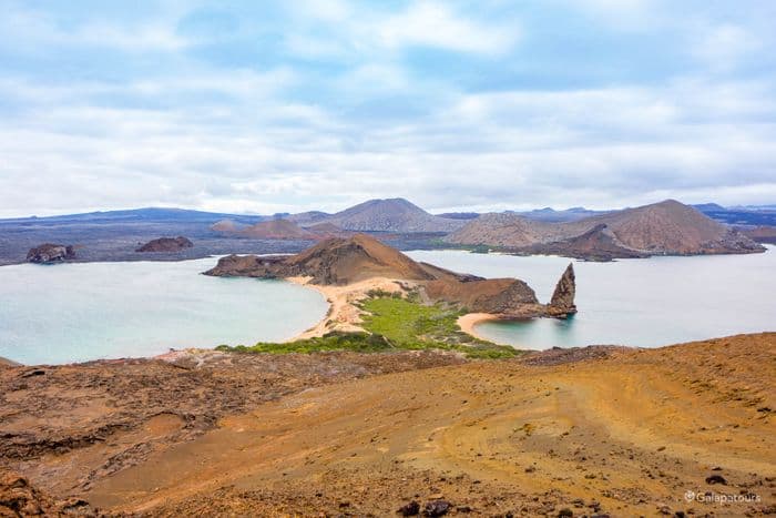 Bartholomew - seaman journey - gal0176