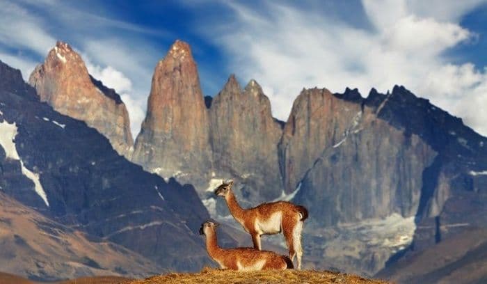 Patagonie : Parc Torres del Paine, 5 raisons de ne pas le louper !