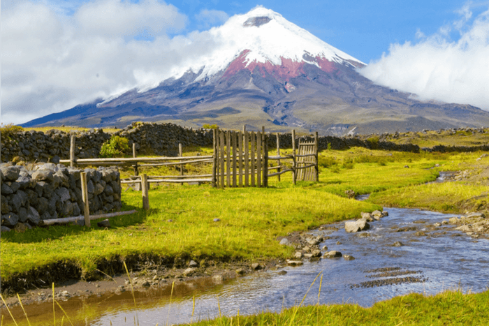Cotopaxi. Quelle: Shutterstock
