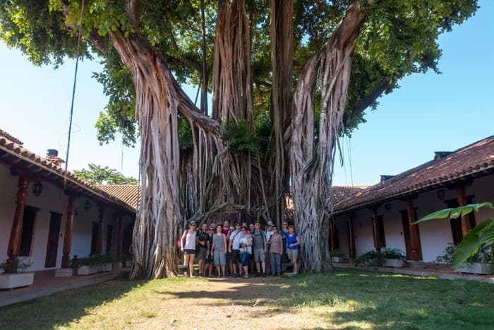 Der Schatten des größten Gummi