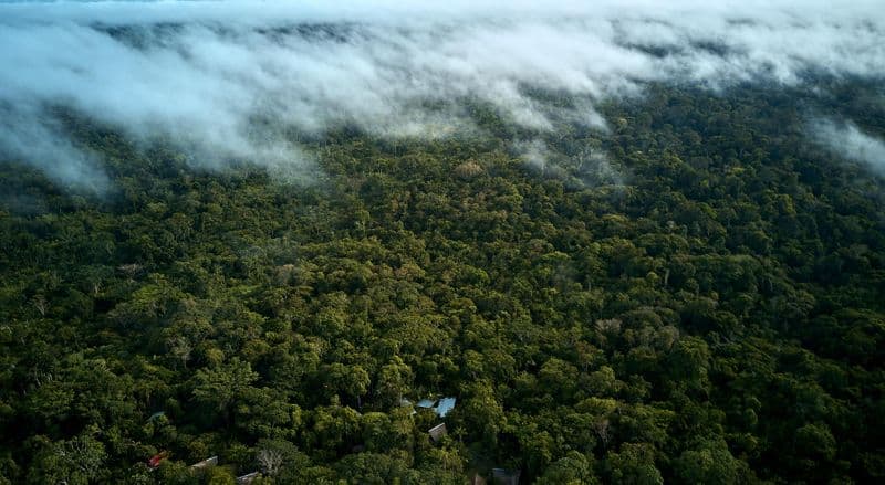 amazonia calanoa colombia