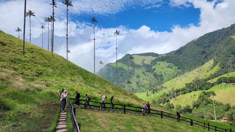 ccol 77871 14/01/2023